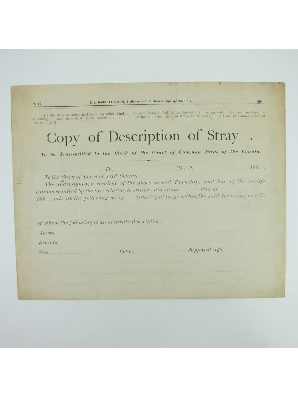 Antique 1880s Ohio Copy of Description of Stray Police Record Form Blank RARE